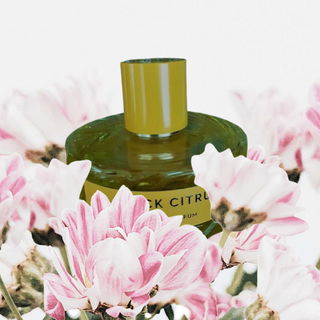 Black Citrus - Vilhelm Parfumerie