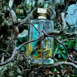 Cœur de Vétiver Sacré - L'Artisan Parfumeur