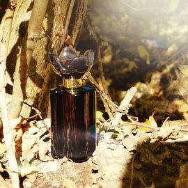Midnight Amber - Oscar de la Renta