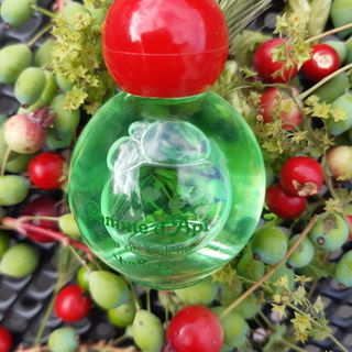Pomme d'Api (Eau Fraîche) von Yves Rocher
