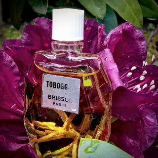 Abendduft mit Charakter