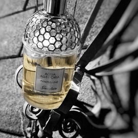 Aqua Allegoria Pamplelune - Guerlain