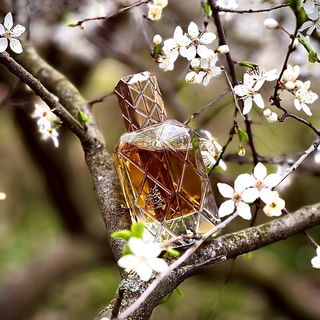 …📷🌍 Thank you. Danke schön. Merci beaucoup. Muchas gracias. Dōmo arigatō gozaimasu 💐…