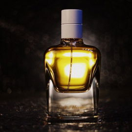 Bentley for Men - Bentley