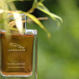 Lanvin L'Homme Sport (Eau de Toilette) - Lanvin