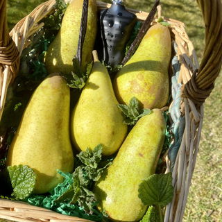 Accento Overdose - Xerjoff