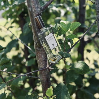 Jeux de peau by Serge Lutens