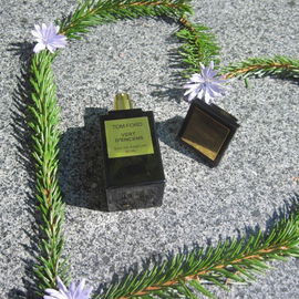 Vert d'Encens - Tom Ford