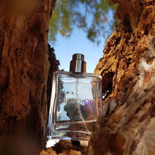 Tabac Rose - bdk Parfums