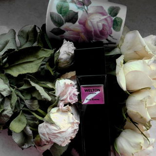 Evening Rose - Aerin