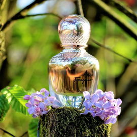 Amo Ferragamo (Eau de Parfum) - Salvatore Ferragamo