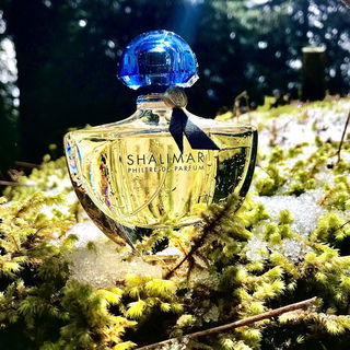 Shalimar Philtre de Parfum von Guerlain
