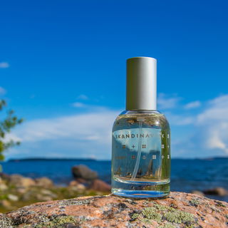 Kapitel 4 - Skandinavisk