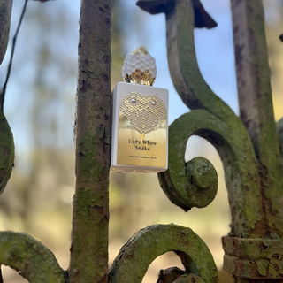 Lady White Snake by Stéphane Humbert Lucas