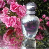 Rose Leonardo da Vinci (by pudelbonzo)