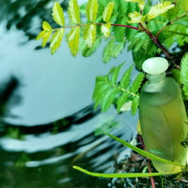 Nature (Eau de Toilette) - Yves Rocher
