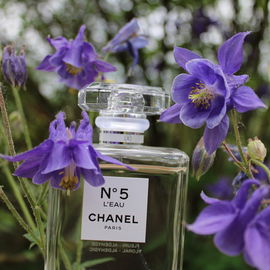 N°5 L'Eau (Eau de Toilette) von Chanel