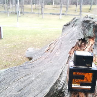 Fan di Fendi pour Homme Assoluto - Fendi