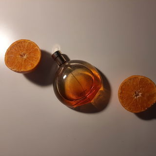 Elixir des Merveilles von Hermès