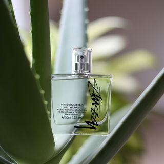 Stüssy Laguna Beach von Comme des Garçons