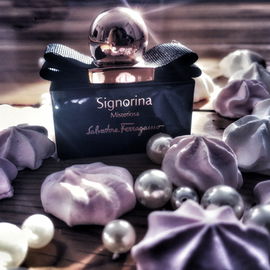 Signorina Misteriosa - Salvatore Ferragamo