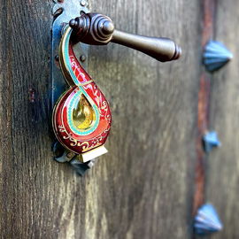 Finde das Seepferdchen, Seahorse, Hippocampe, Caballito de mar, Tatsuno-otoshigo
