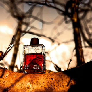 Ambra Aurea by Profumum Roma