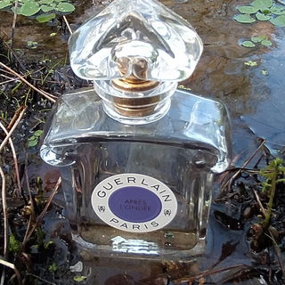 Après L'Ondée (Eau de Toilette) by Guerlain
