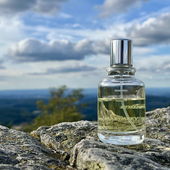 Dunkle Wolken über Taunus, aber es blieb trocken. Und schön frisch dank Marymary 😉Vielen Dank für euren Besuch 🌺 (by Taunusblume)