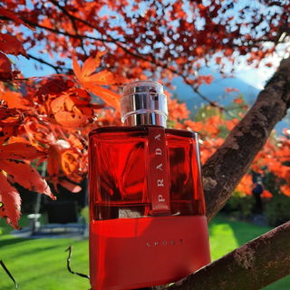 Der Herbst im Allgäu in voller Farbenpracht.. Danke fürs vorbei schauen :-)