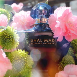 Shalimar Souffle Intense - Guerlain