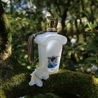 Isola Sol - Roja Parfums