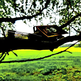 Panda (2017) - Zoologist