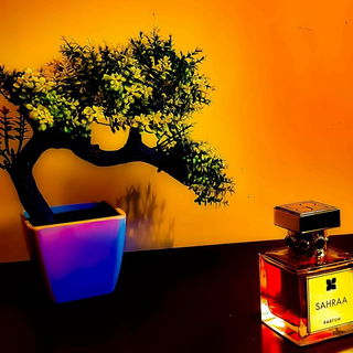 Sahraa / Sahraa Oud von Fragrance Du Bois