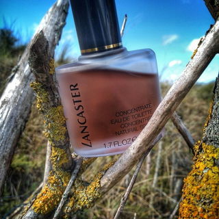 Lancaster (Eau de Toilette Concentrée) by Lancaster