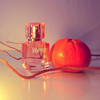 Rise & Shine von Esprit