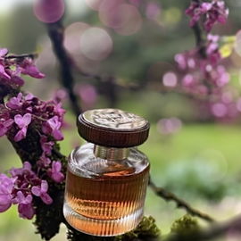 Amber Elixir - Oriflame