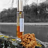 Diese Propolis - Terpentin - Spray - Version war der allerletzte Flacon aus Hikayats Privatbeständen. 😄 Danke an alle. 🧜‍♀️ (von Seejungfrau)