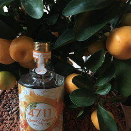 Classic Orange - Von Eusersdorff