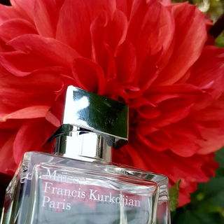 Gentle Fluidity (Silver) von Maison Francis Kurkdjian