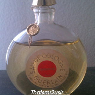 Shalimar (Eau de Parfum) by Guerlain