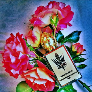 Ein kleiner Zweig meiner Gebrüder Grimm Rosen