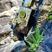 …📷🌍 Thank you. Danke schön. Merci beaucoup. Muchas gracias. Dōmo arigatō gozaimasu 💐… (von Kokusai)