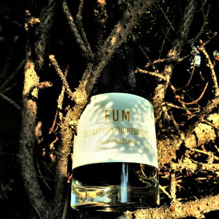 Umhüllt von Rauch Am Lagerfeuer Atmen Bäume Durch dunkle Kräuter Borken voller Kiefernnadeln Und manchmal auch Orangenschalen