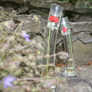 Flower by Kenzo (Eau de Parfum)