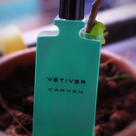 Vétiver (2014) - Carven