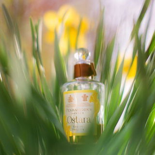Ostara by Penhaligon's