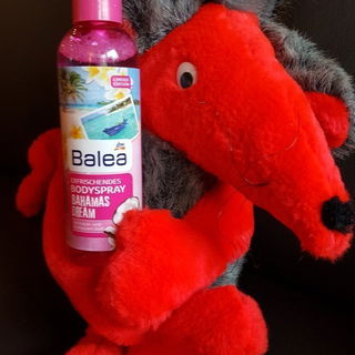 Bahamas Dream von Balea