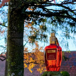 Amber Crystal von The Merchant Of Venice