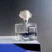 2024.12.05 (by Fanny)